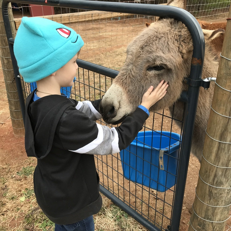 The Farm in Nicholson, Georgia