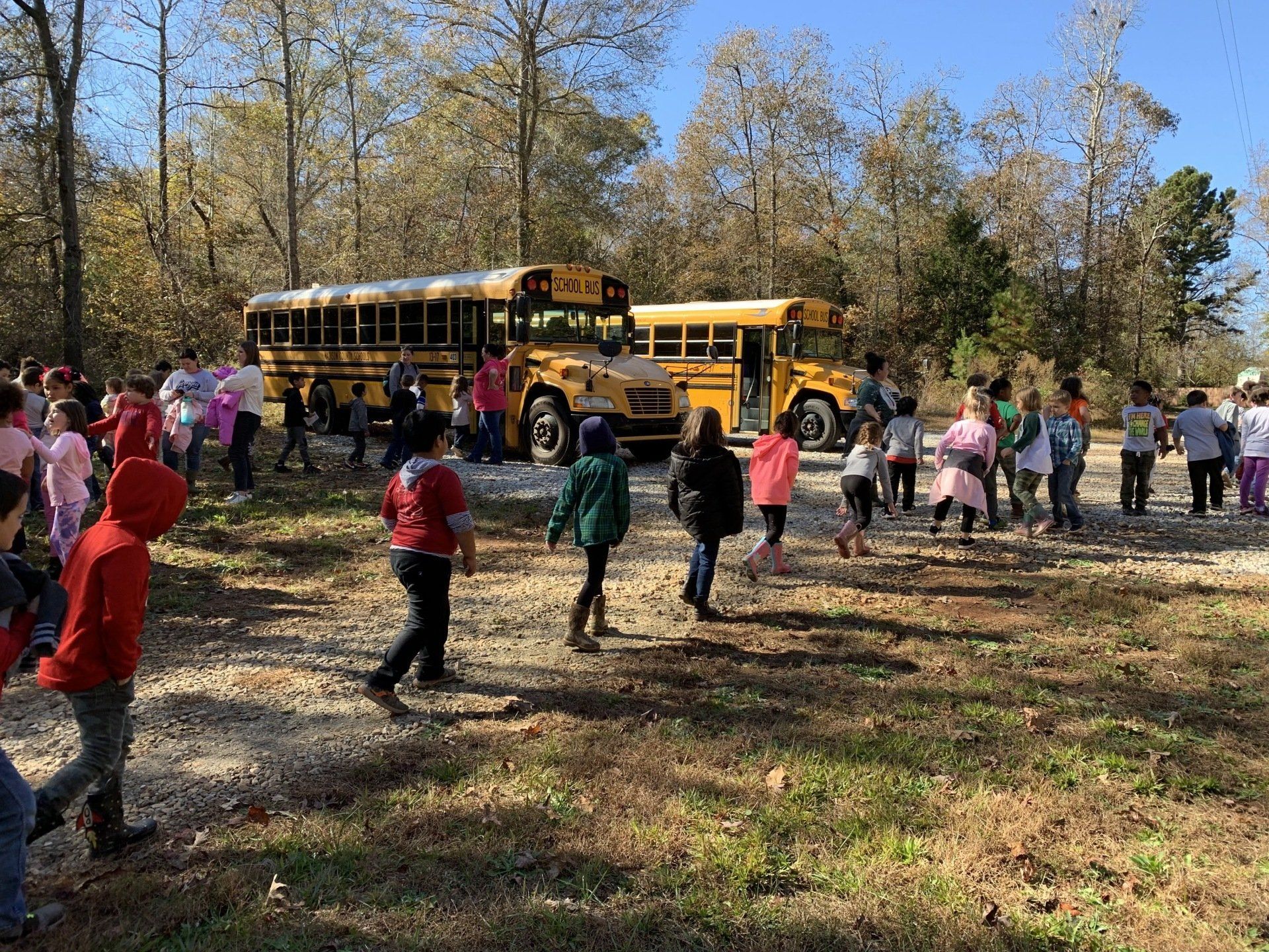 Field Trips in Nicholson