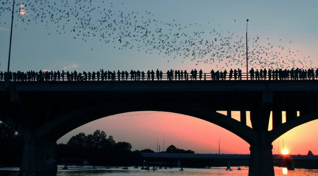 rent a limo to congress avenue bridge