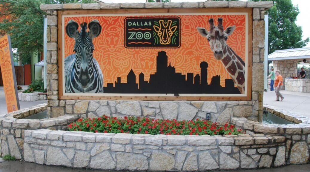 Dallas Zoo limousine service