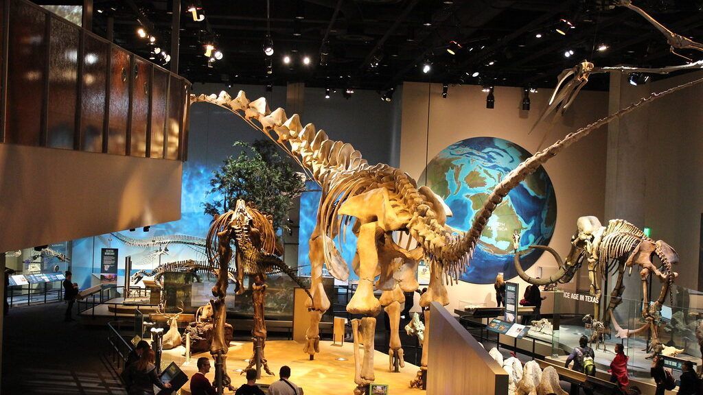 Private limo service to perot museum
