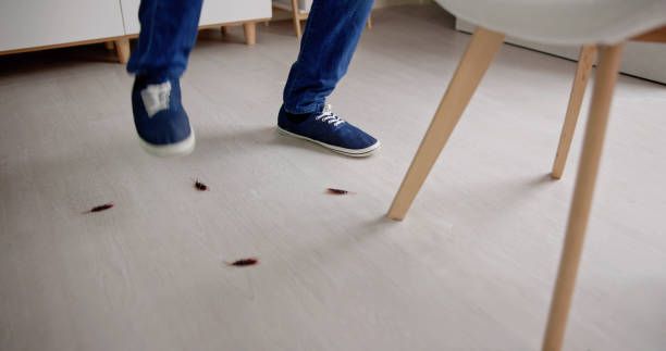 A Man Is Spraying Insecticide On A Dresser In A Bedroom - Waukomis, OK - Actshon Pest Control