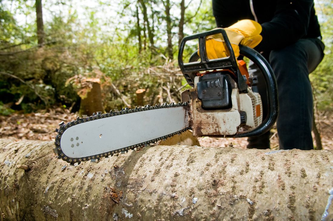 TREE REMOVAL