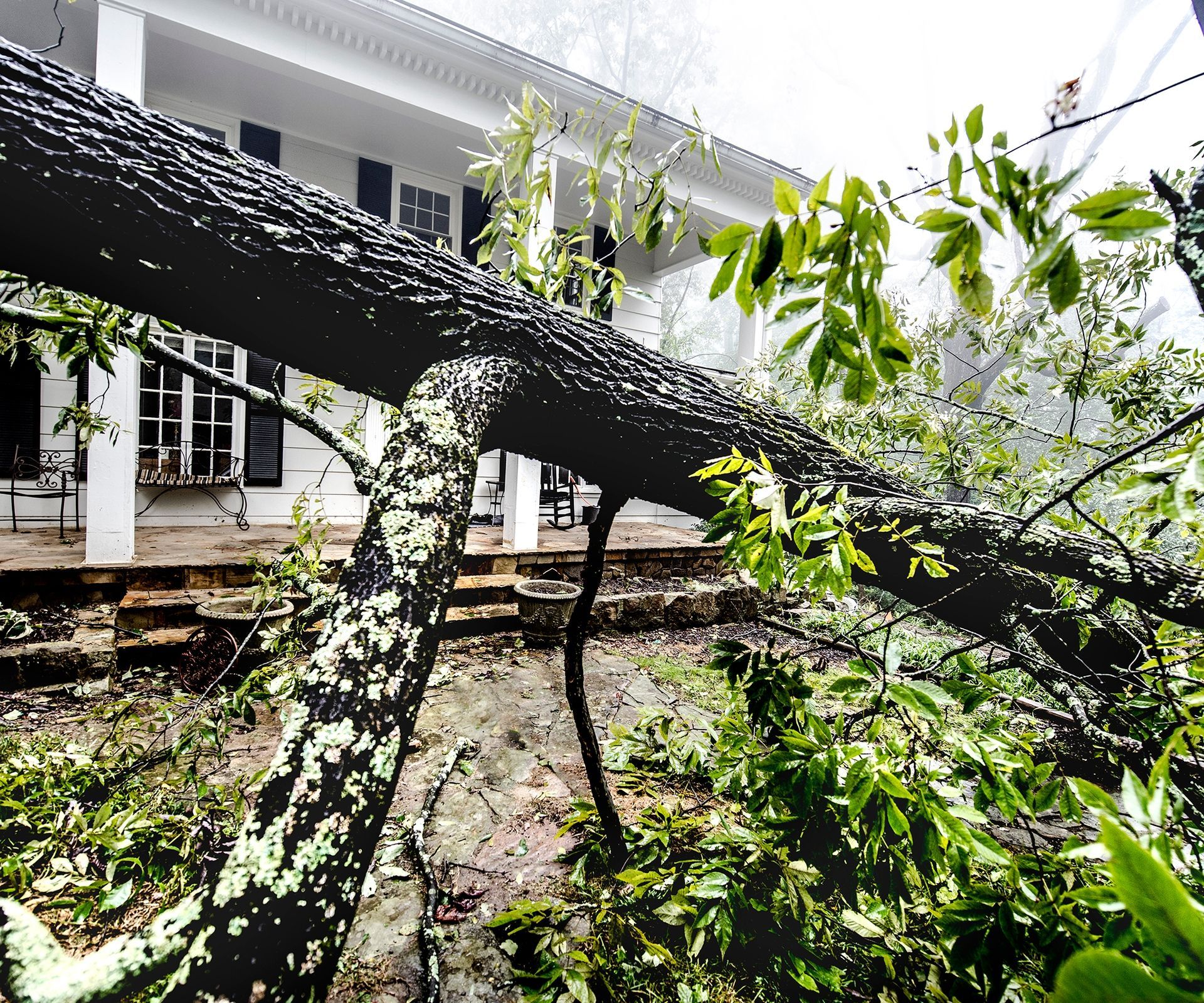 Storm Clean Up