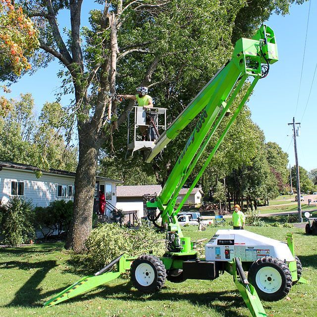 A green crane is cutting a tree in a yard