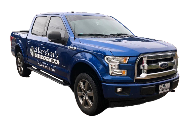 A blue ford f150 truck is on a white background.