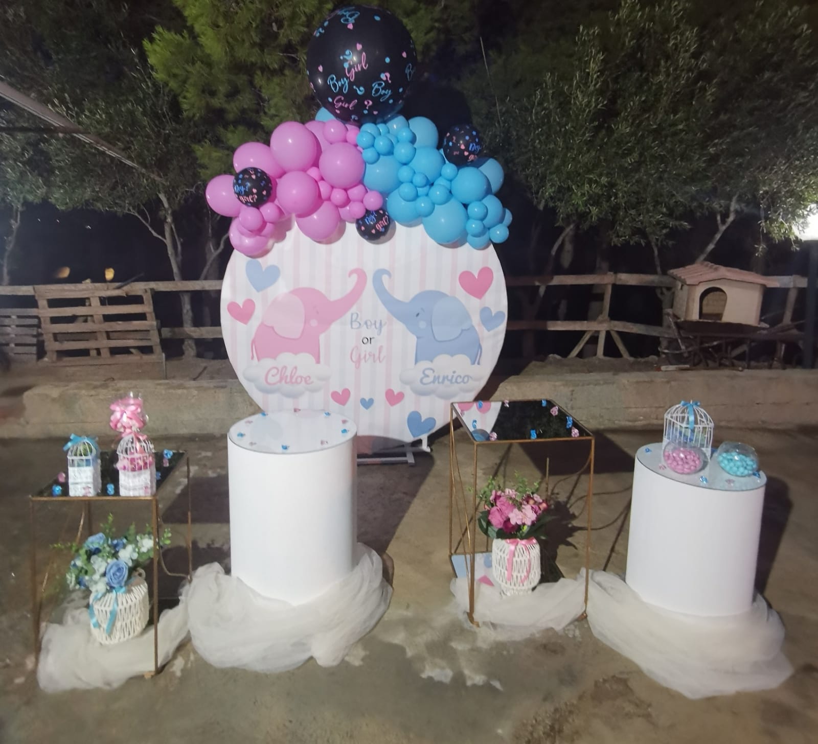 festa per nascituro