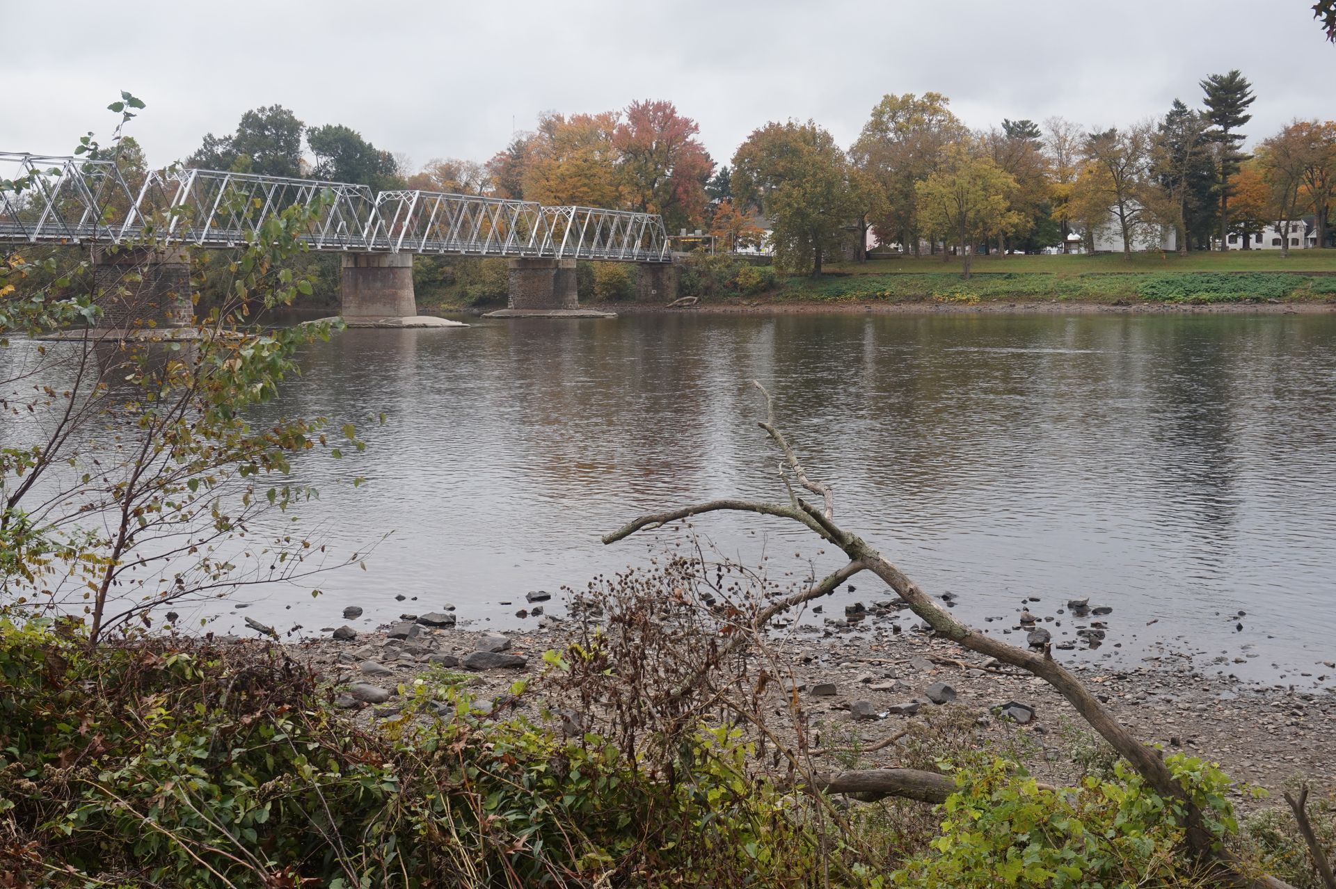 River with bridge and fall foliage. Overcast sky. River with bridge and fall foliage. Overcast sky.