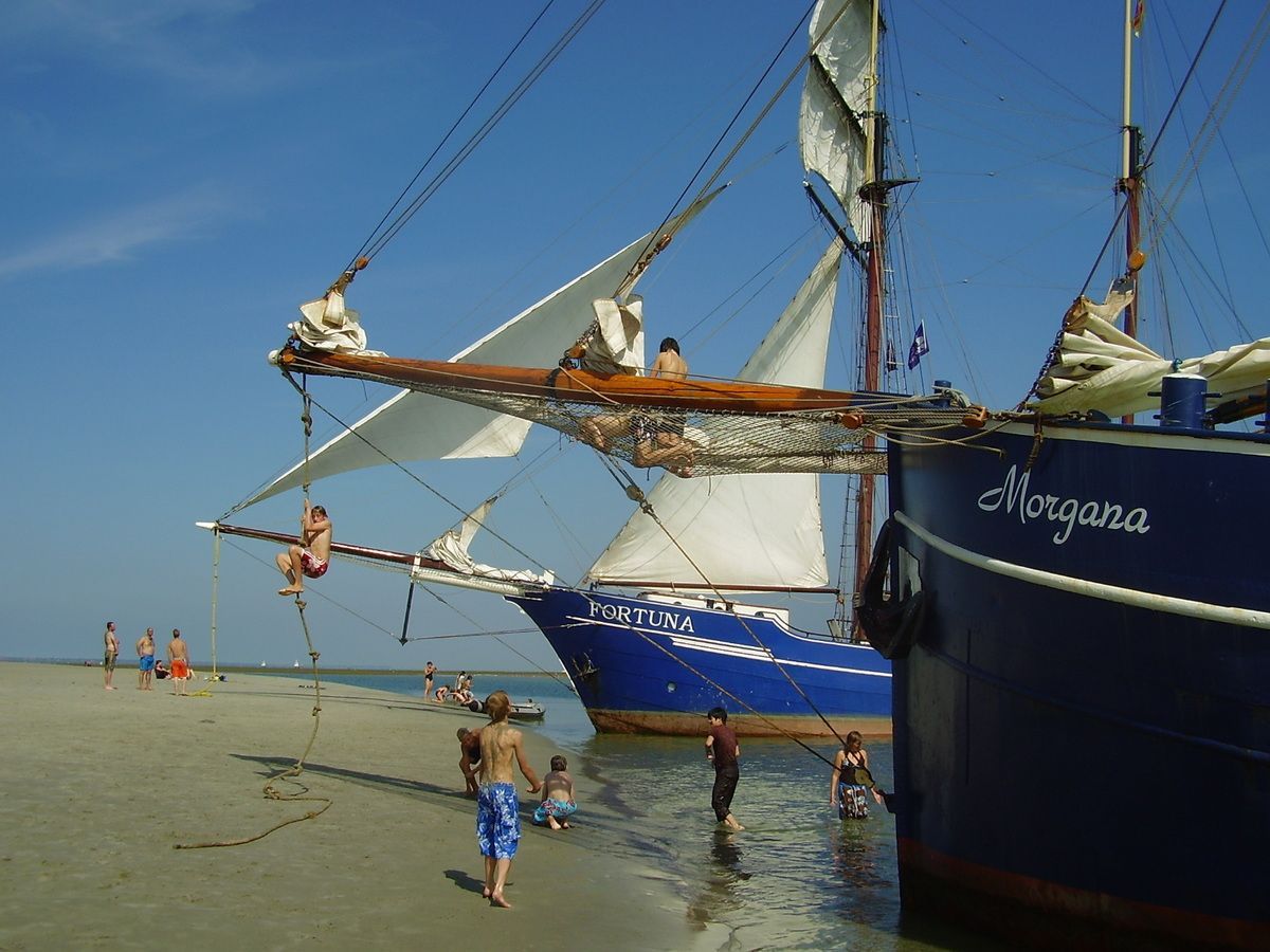 Tall ship Morgana beached on a Wadden Sea sandbank at low tide, with another vessel on the horizon.