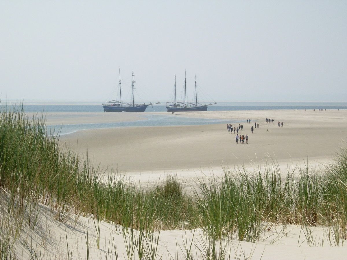 Traditional Dutch tall ships ‘drying out’ on a Wadden Sea sandbank at low tide, with people walking across the mudflats.