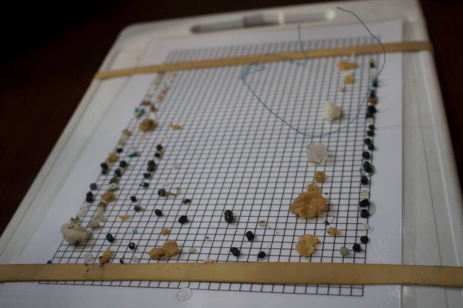 Plastic onderzoek tijdens bedrijfsuitje op de Waddenzee met The Ocean Movement – de opbrngst van het microplasticonderzoek ligt uigestald op een vel papier met blokjes. het is veel
