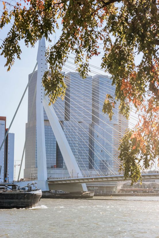 Erasmusbrug op de kop van zuid