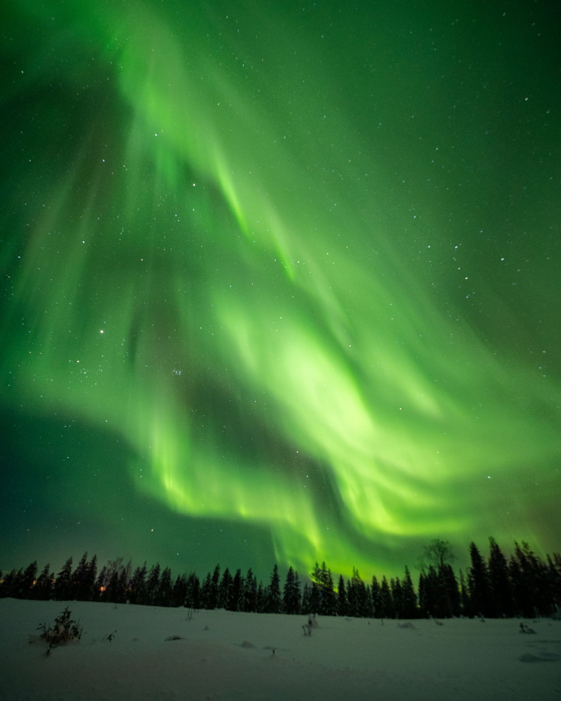 Northern lights over the forest near Rovaniemi