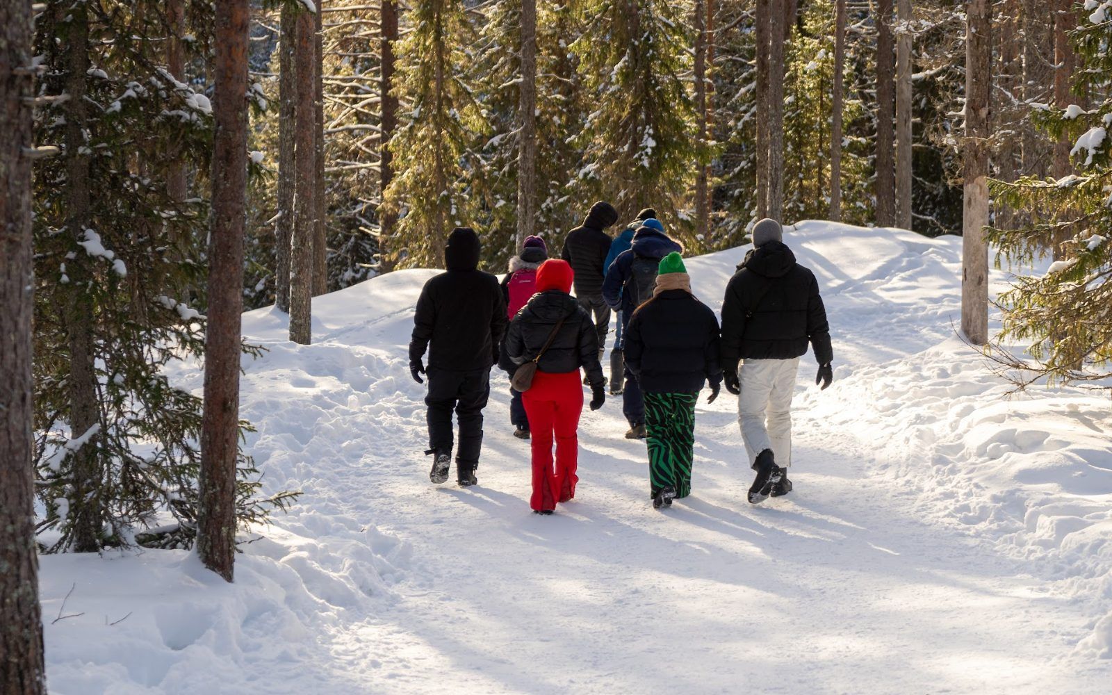 Group snowshoe hiking through a sunny snowy forest