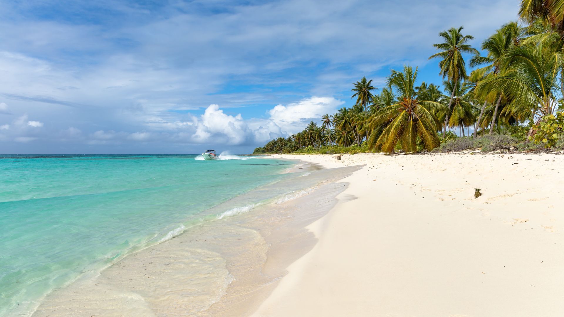 Tropical beach with turquoise water, white sand, and palm trees under a partly cloudy sky
