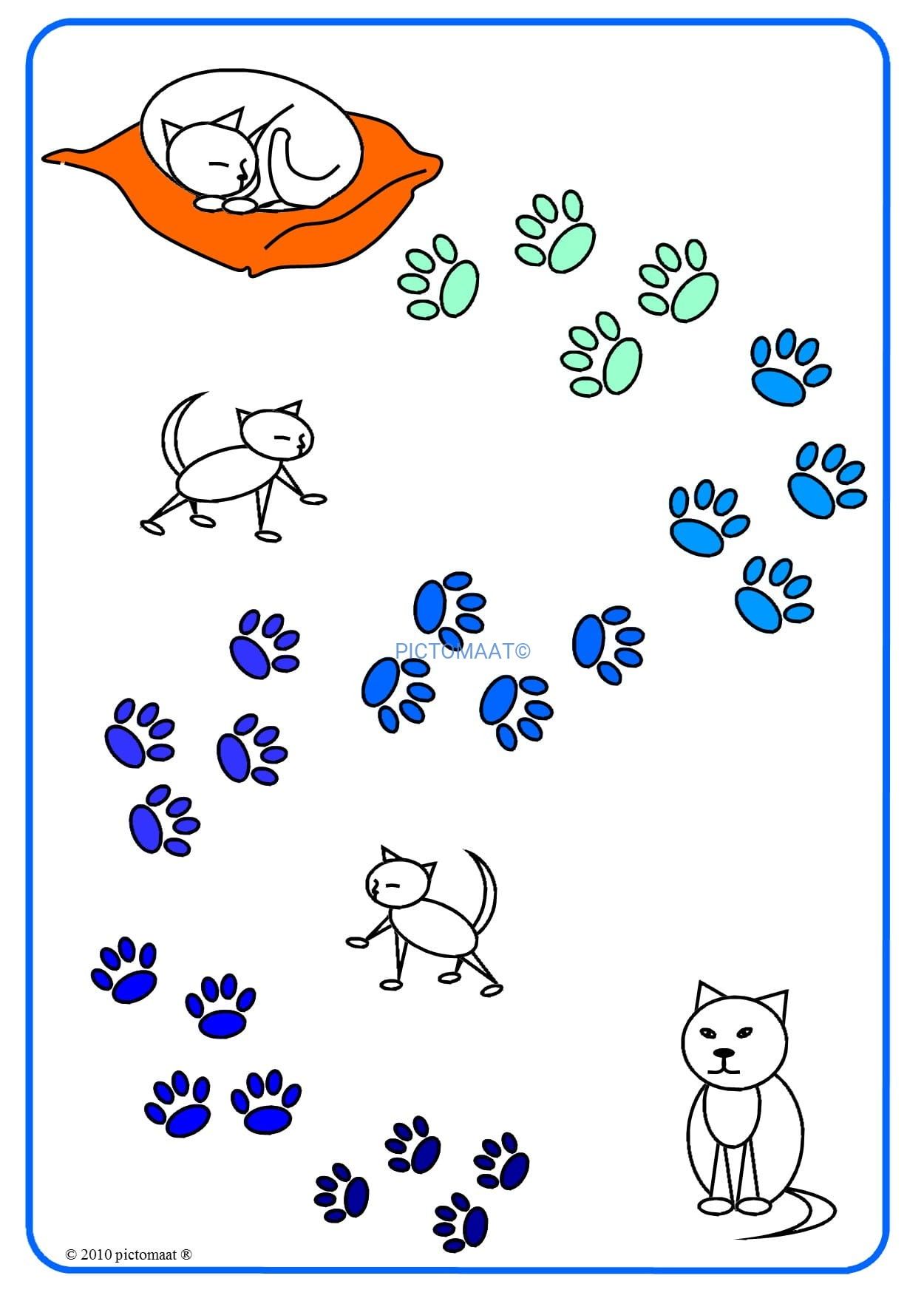 Poes