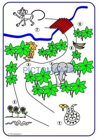Jungle