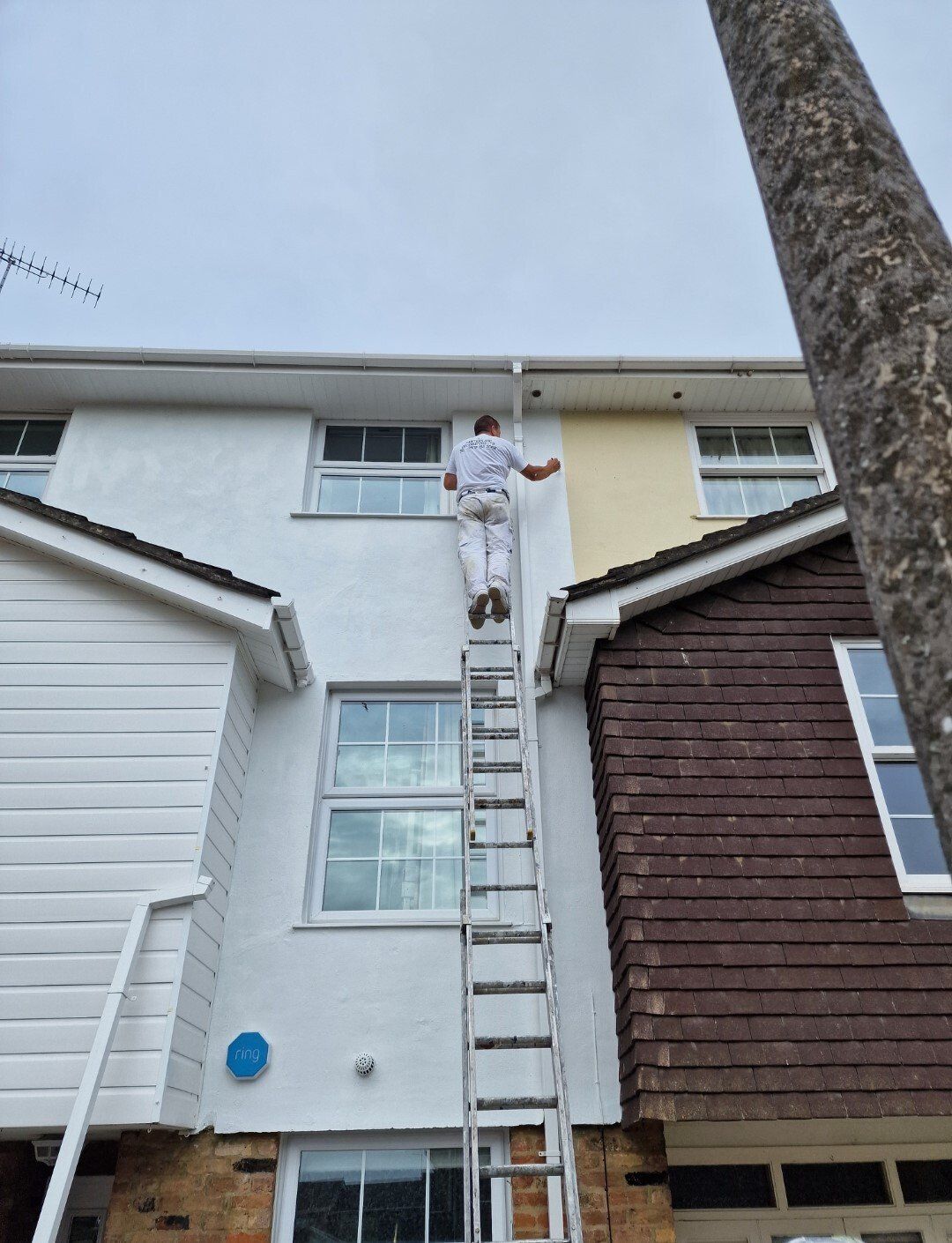 London & Essex Painting Services – S.I. Painting & Decorating
