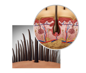 A close up of a person 's hair and skin