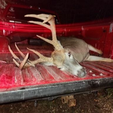 Big Bucks, Deer Hunting, Gun Hunting, Deer Scents, Minnesota Hunting, Deer Mineral, Urine Scents, Rut, Pre Rut.