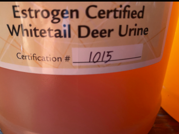Deer Urine, Urine Scents, Deer Behavior, Glandular Scents, Tarsal Glands, Mock Scrapes, Buck Preorbital, Clover Mix.