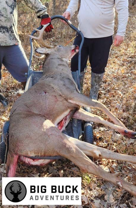Deer Hunting, Minnesota Hunting, Big Buck Adventures, Central Minnesota, Food Plot Seed Mixes, Deer Scents, Bow Hunting.