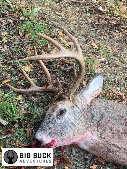 Deer Hunting, Minnesota Hunting, Food Plot Seed Mixes, Deer Scents, Bow Hunting, Gun Hunting, Rut, Pre Rut.