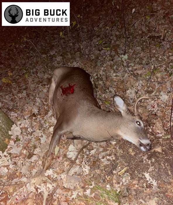 Deer Hunting, Minnesota Hunting, Big Buck Adventures, Seed Mixes, Deer Scents, Bow Hunting, Gun Hunting, Rut, Pre Rut.
