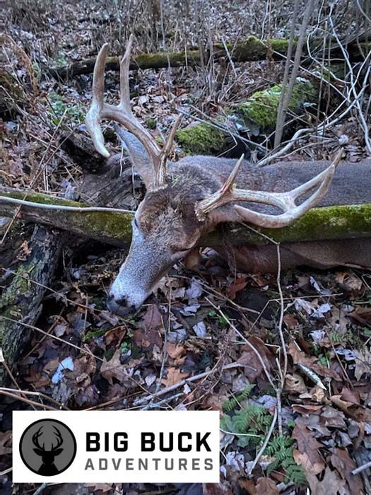 Deer Hunting, Minnesota Hunting, Clover Mix, Brassica Mix, Mock Scrapes, Buck Preorbital, Deer Mineral, Urine Scents.