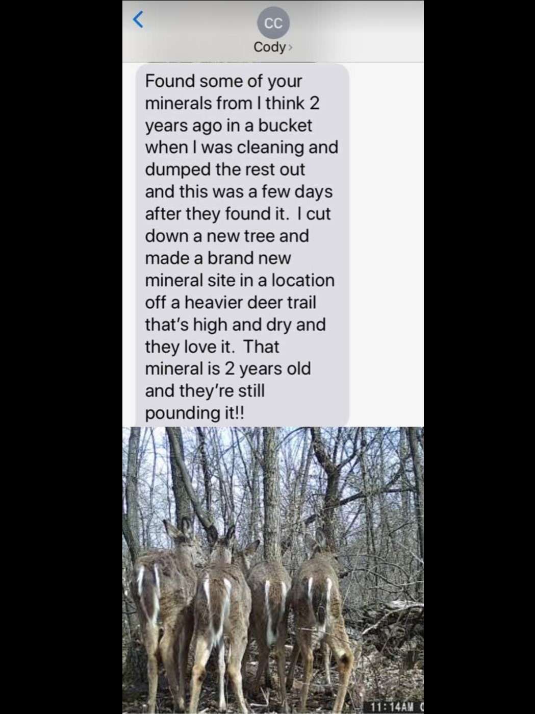 Site Review, Testimonial, Deer Mineral, Urine Scents, Glandular Scents, Tarsal Glands, Rut, Pre Rut, Mock Scrapes