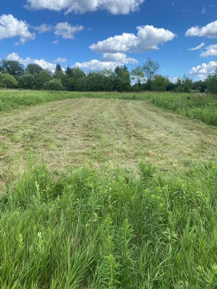 Food Plot Seed Mixes, Clover Mix, Brassica Mix, Soybeans for Food Plots, Food Plots, Deer Mineral, Big Bucks, Deer Hunting.