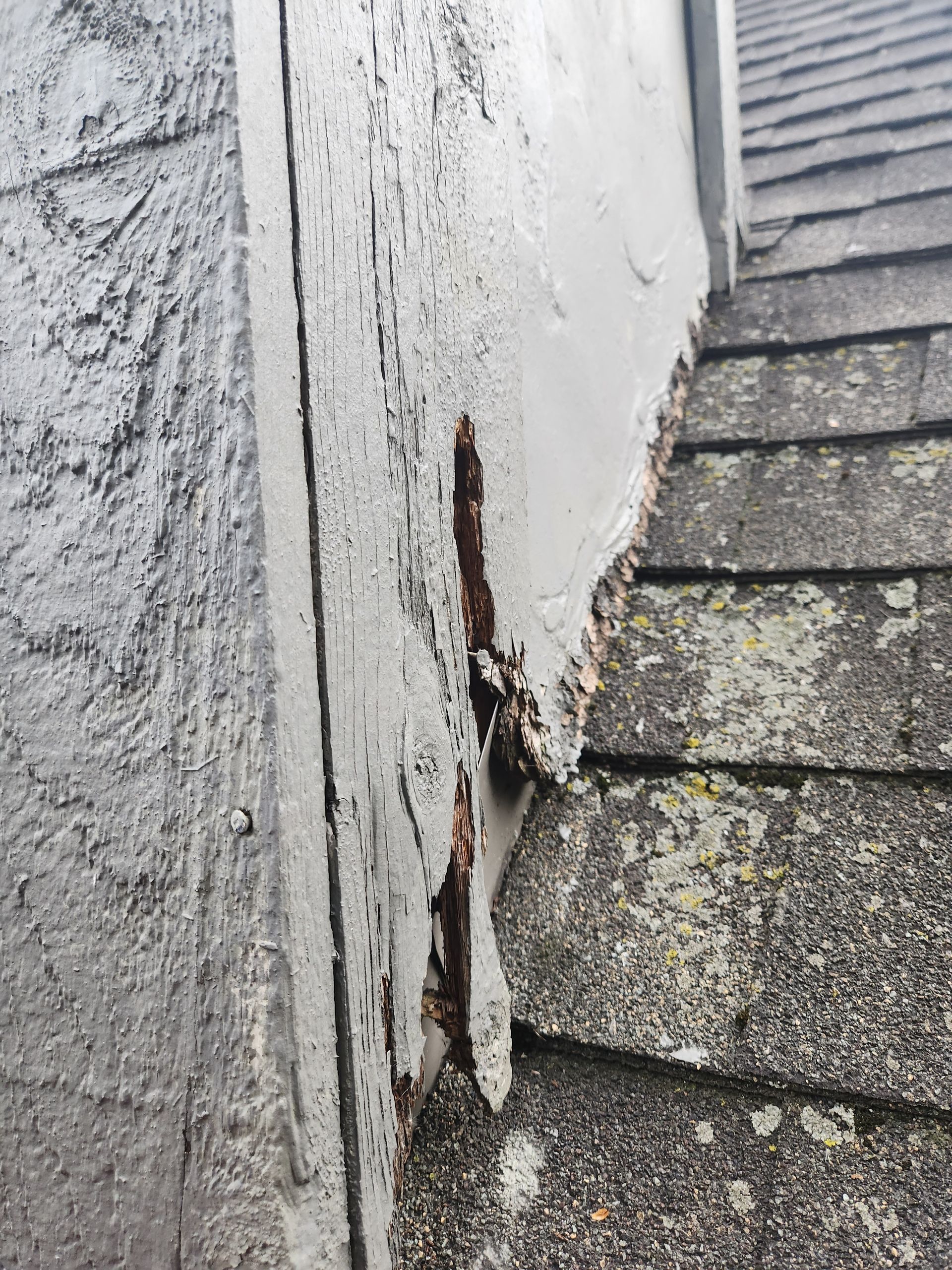 Close-up of weathered house siding and roof shingles with peeling paint.