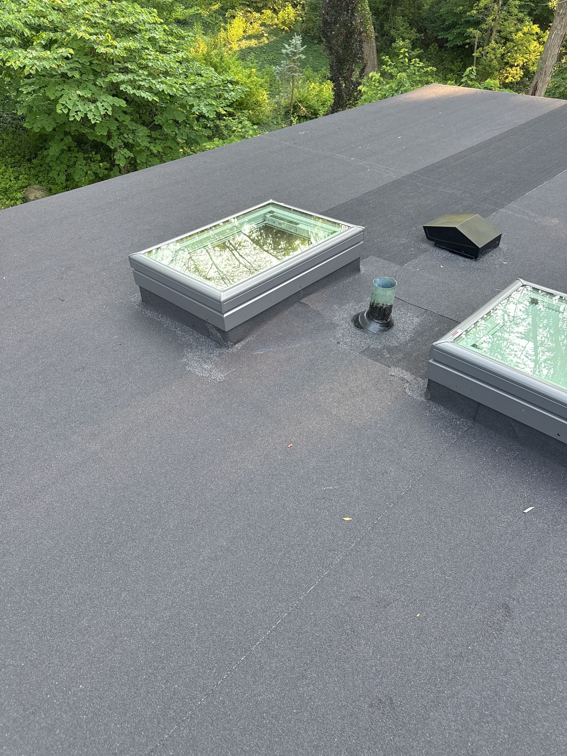 Black, flat roof with two skylights and a vent pipe. Green trees are in the background.