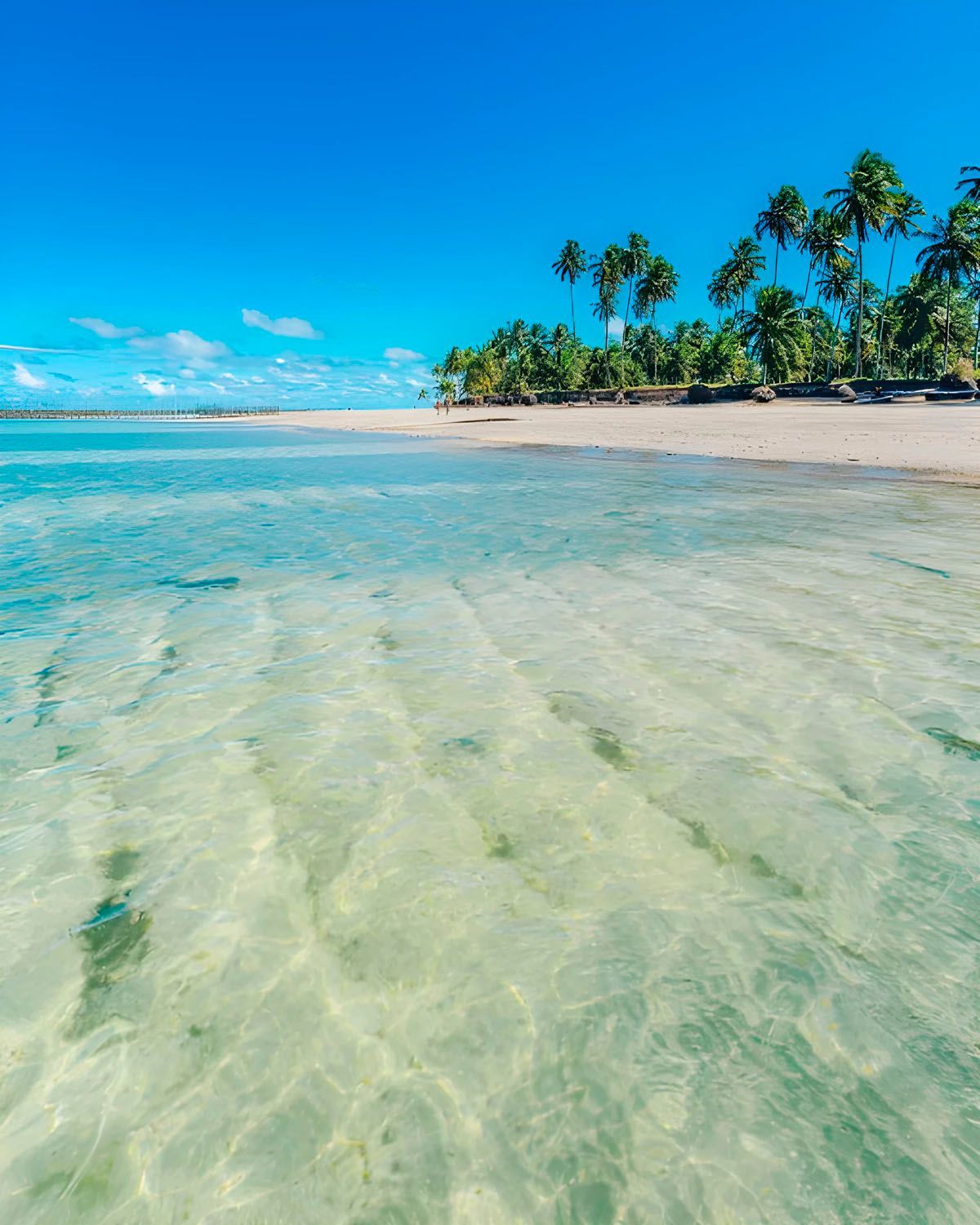 Uma praia tropical com palmeiras e uma praia de areia branca