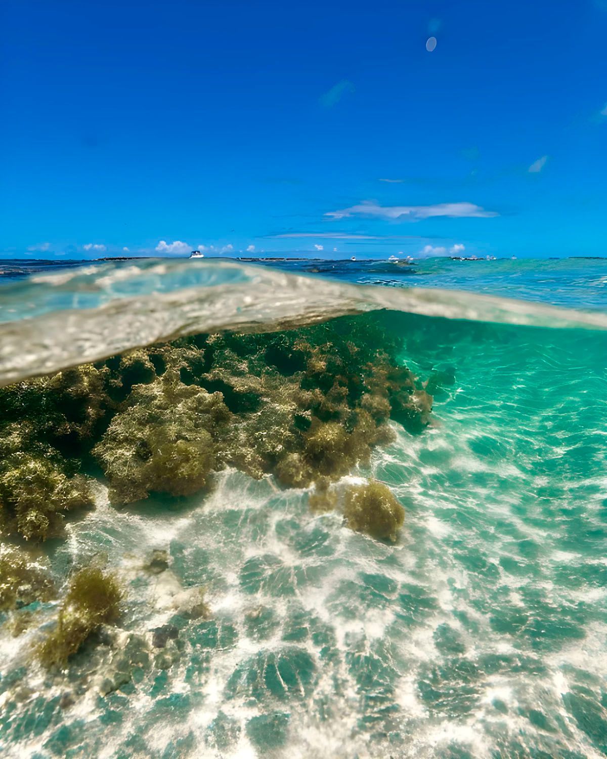 Uma vista meio subaquática de um recife de coral no oceano.