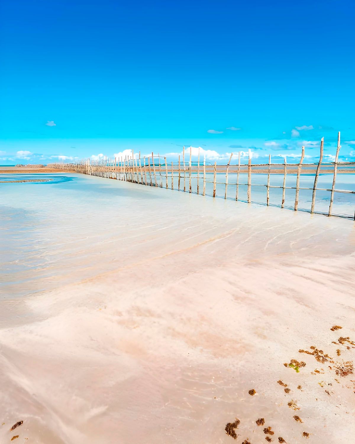Há um cais ao longe na praia.