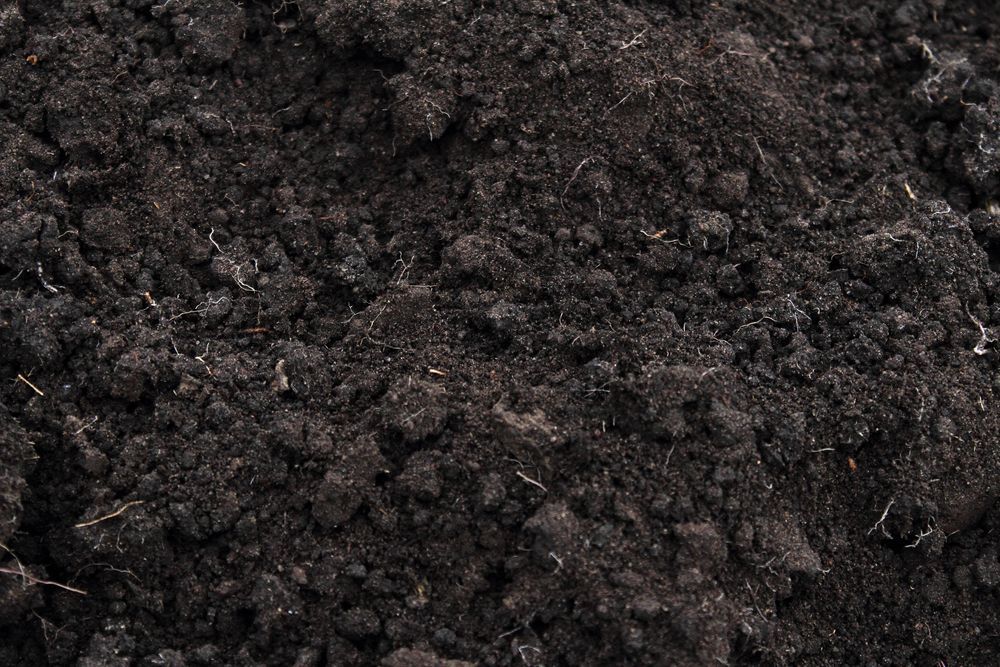 Dark, Textured Soil, Possibly Compost or Topsoil — Laurieton Landscape Supplies In Bonny Hills, NSW