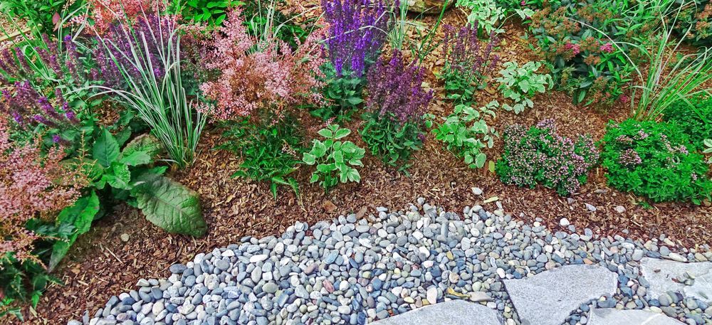 Garden Bed With Various Plants and Small Gravel Border — Laurieton Landscape Supplies In Kew, NSW