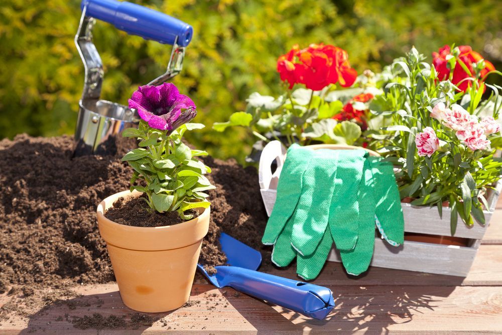 Gardening Tools, Potted Flower — Laurieton Landscape Supplies In Kew, NSW