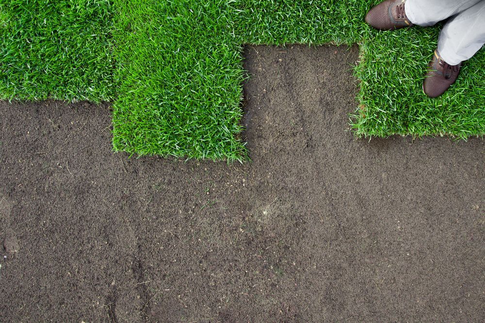Person Installing Sod, Laying Green Grass Squares — Laurieton Landscape Supplies In Lake Cathie, NSW