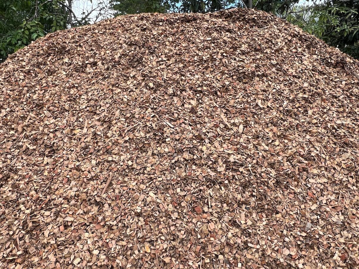 A large, rounded mound of brown wood chips outdoors against a background of green trees — Laurieton Landscape Supplies In Bonny Hills, NSW