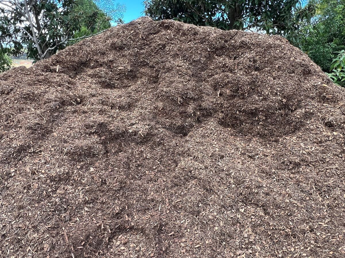 A large, rounded pile of dark brown wood mulch sits outdoors against a backdrop of trees and a blue sky — Laurieton Landscape Supplies In Laurieton, NSW