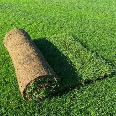 Rolled-up patch of artificial turf on a green lawn — Laurieton Landscape Supplies In Laurieton, NSW