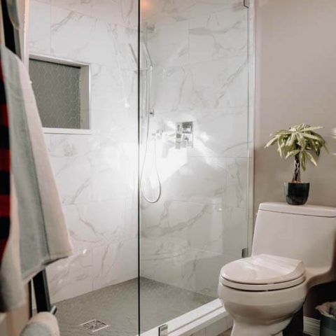Modern bathroom with glass shower, white tiled walls, toilet, and potted plant