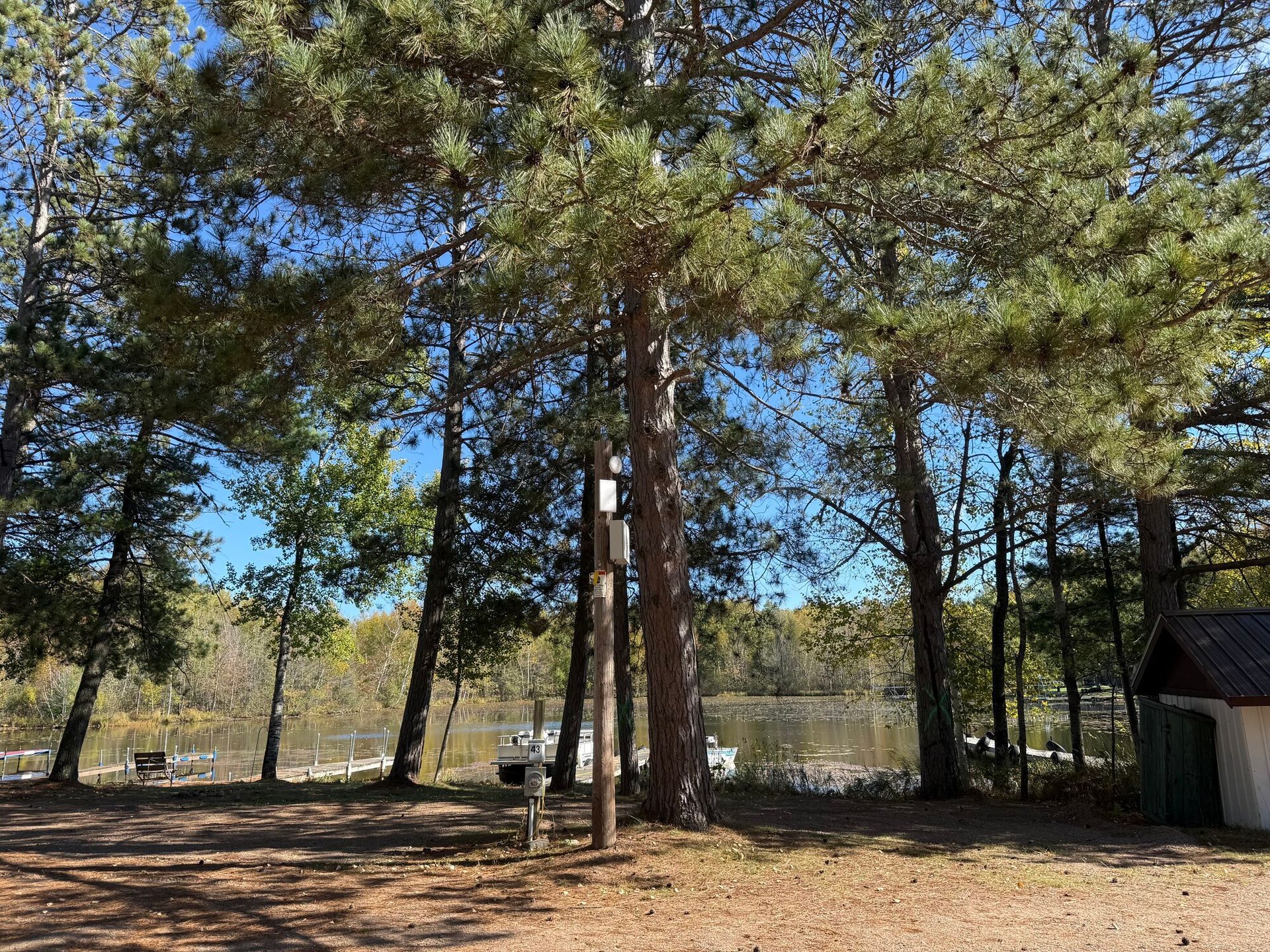 Trees on a sunny day near a body of water with structures.