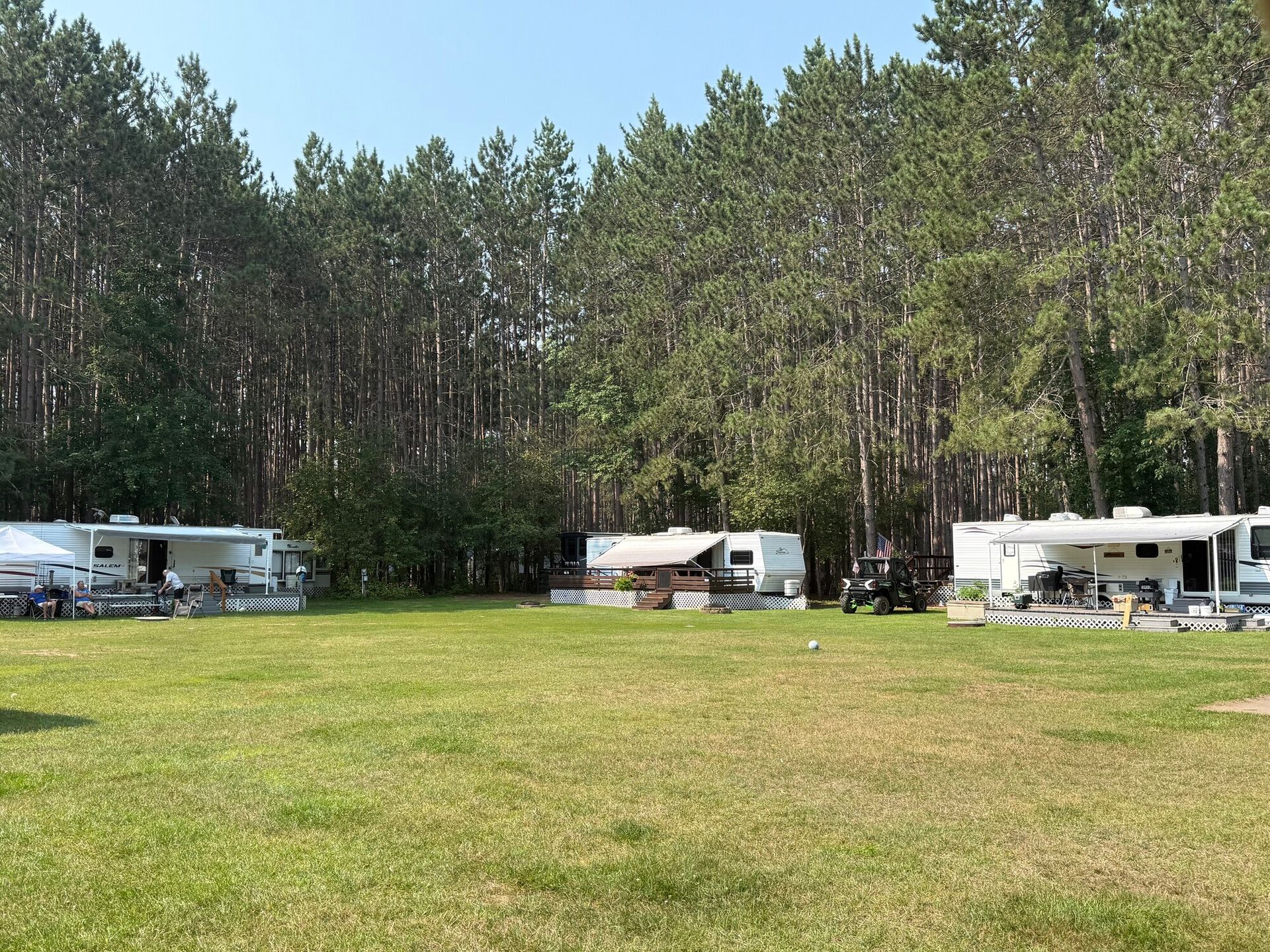 RV campers on a grassy field, backed by a forest of tall green trees under a blue sky.