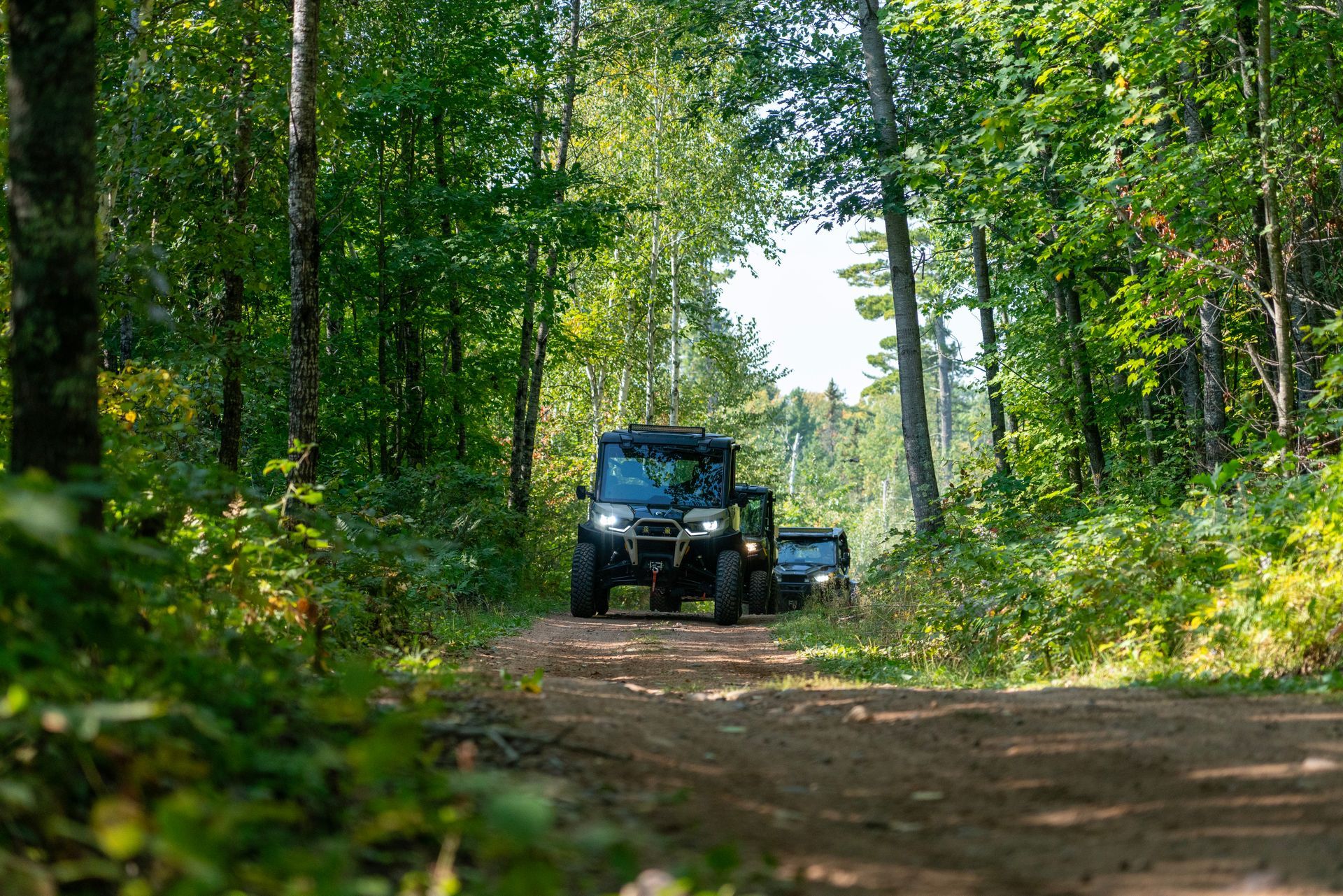 Two off-road vehicles on a forest trail surrounded by tall green trees