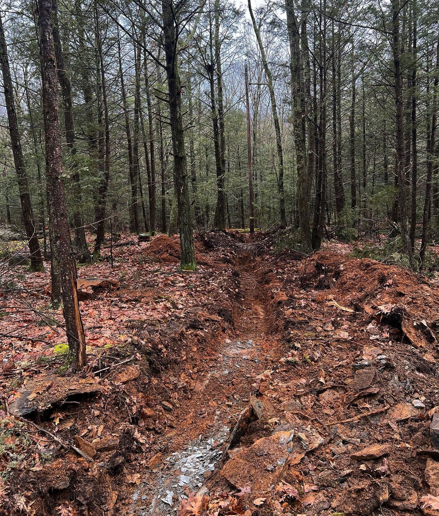 A muddy path in the middle of a forest with trees in the background.
