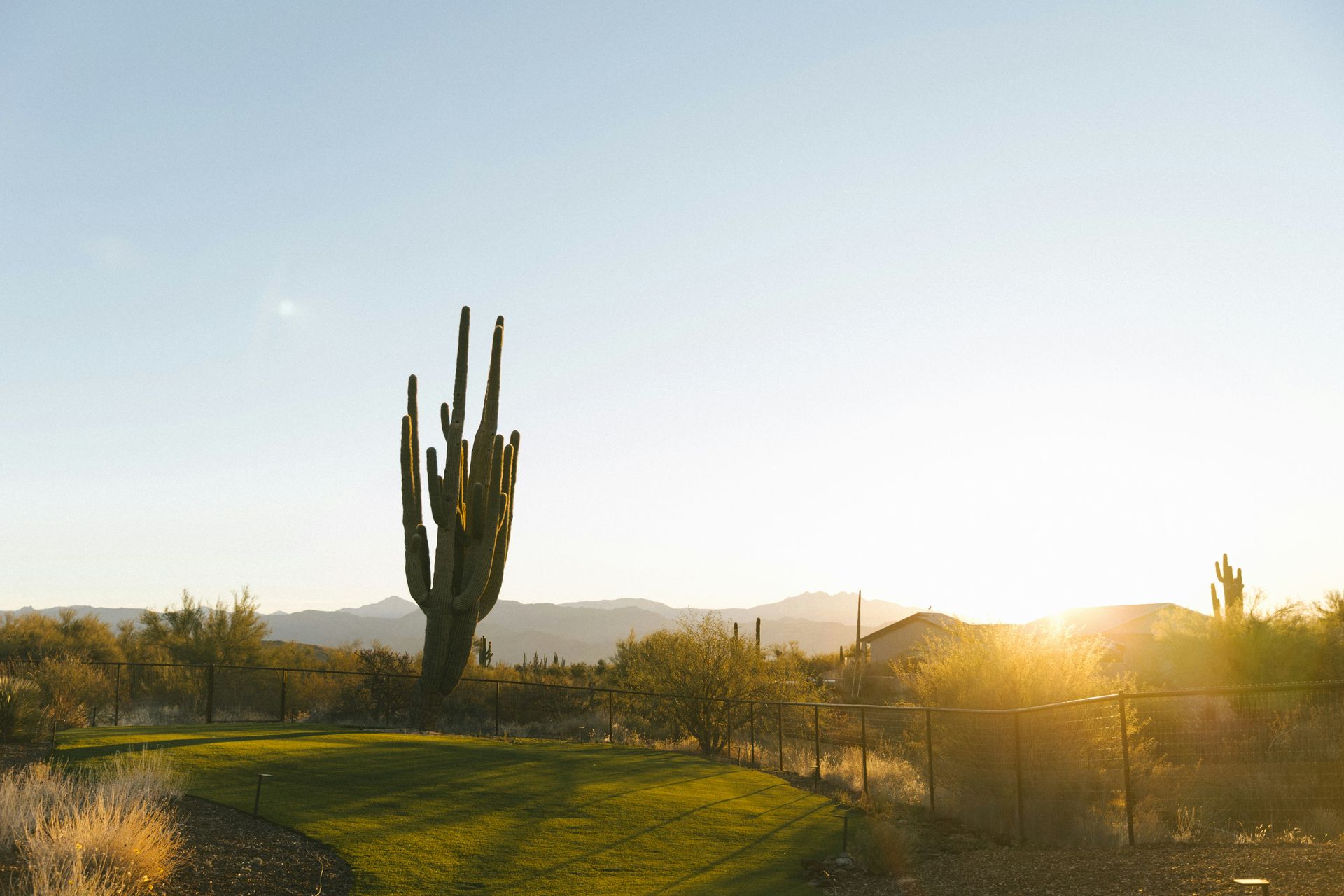 Well-maintained lawn, trees, and shrubs in Arizona.