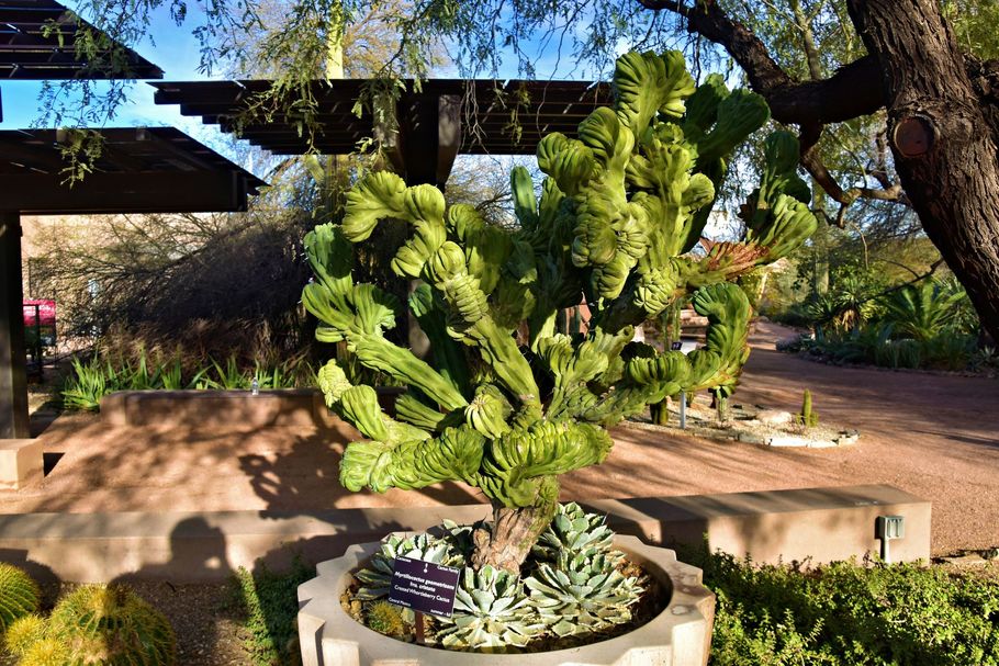 Nicely organized outdoor pathway with clean landscaping and design.